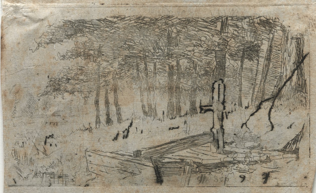 Malá studie stromů, 19.-20. století. od Otto H. Bacher