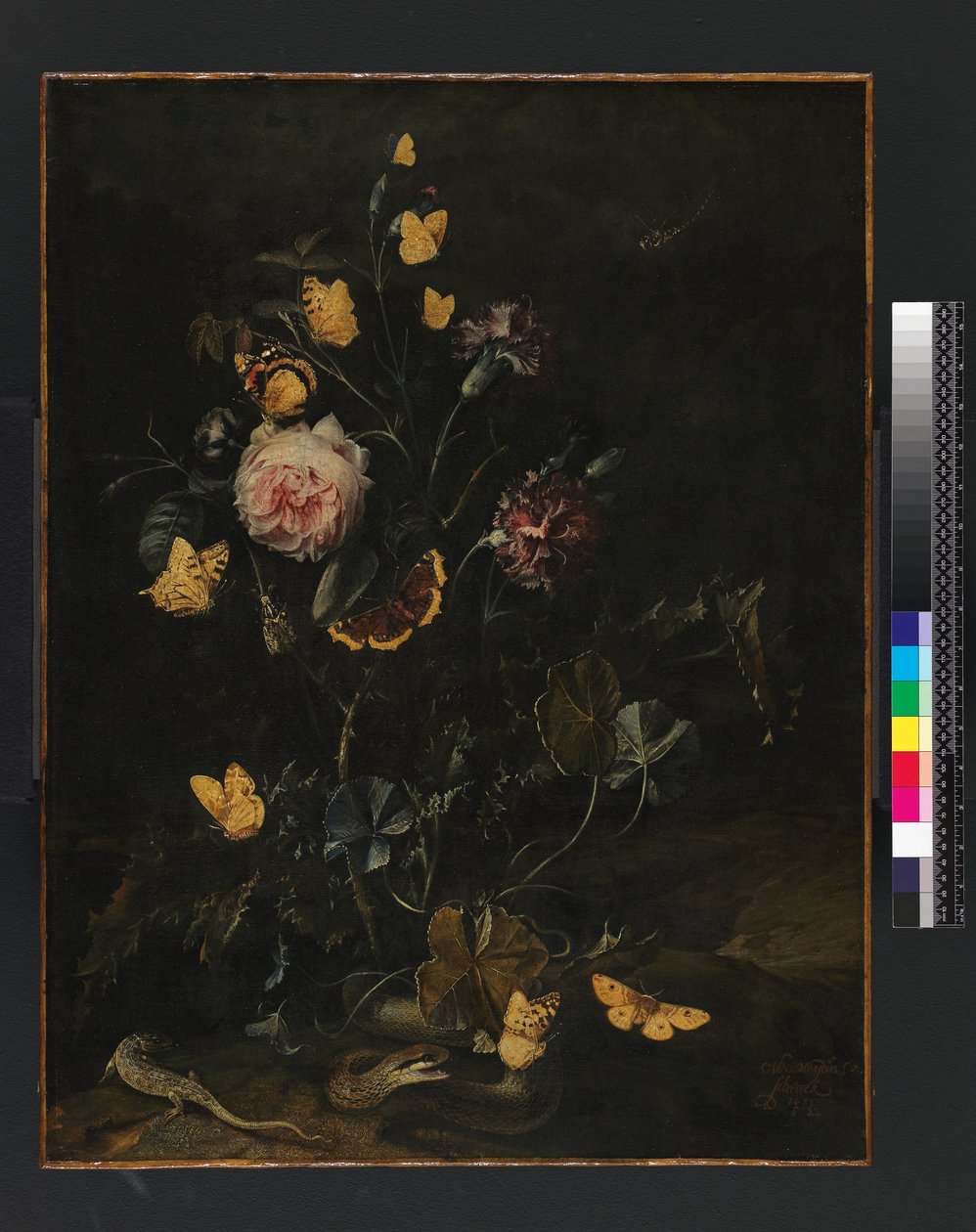 Květiny, hmyz a plazi, 1673 od Otto Marseus  van Schrieck