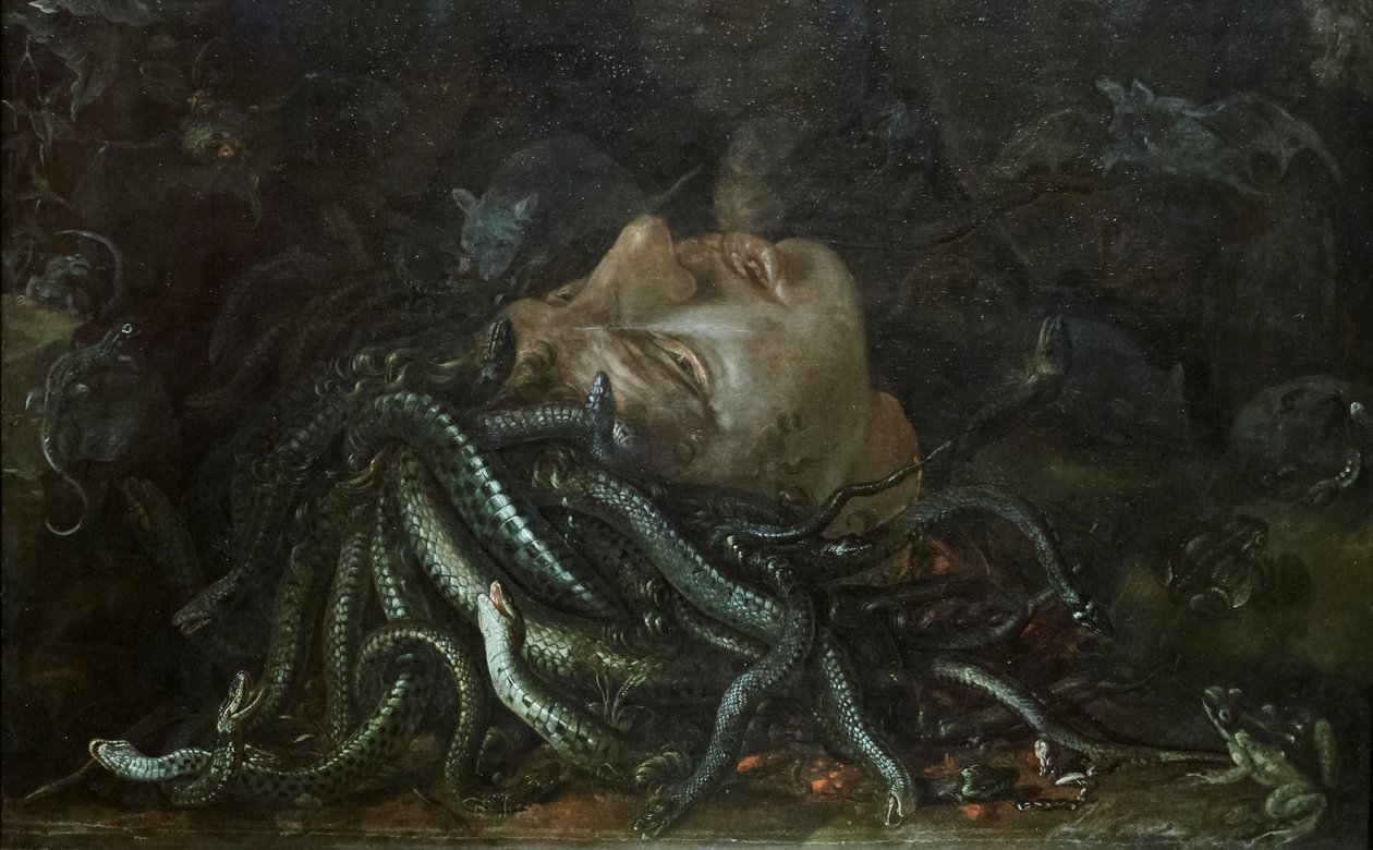 Hlava Medúzy od Otto Marseus  van Schrieck