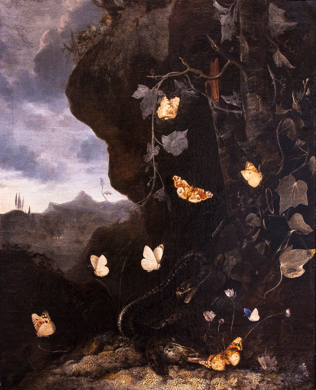 Hadi, ropuchy a motýli od Otto Marseus van Schrieck