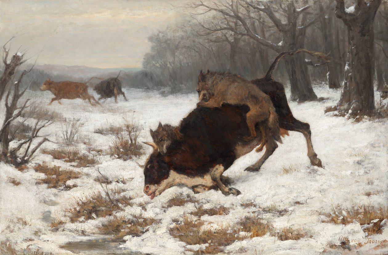 Kráva je napadena vlky od Otto von Thoren