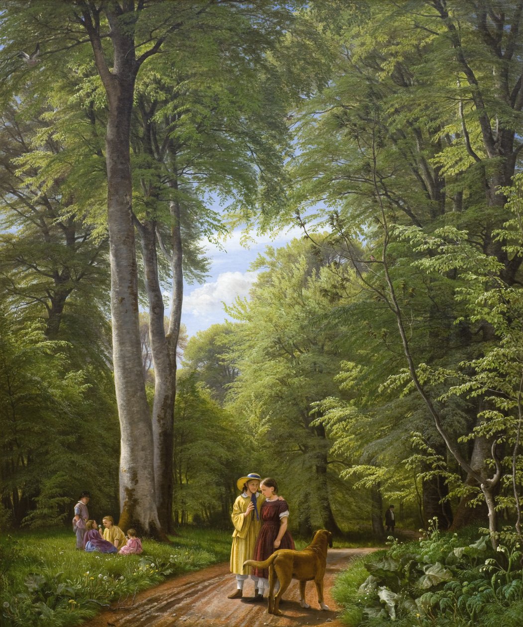 Beech Wood v květnu poblíž Iselingen Manor, Zéland od P.C. Skovgaard