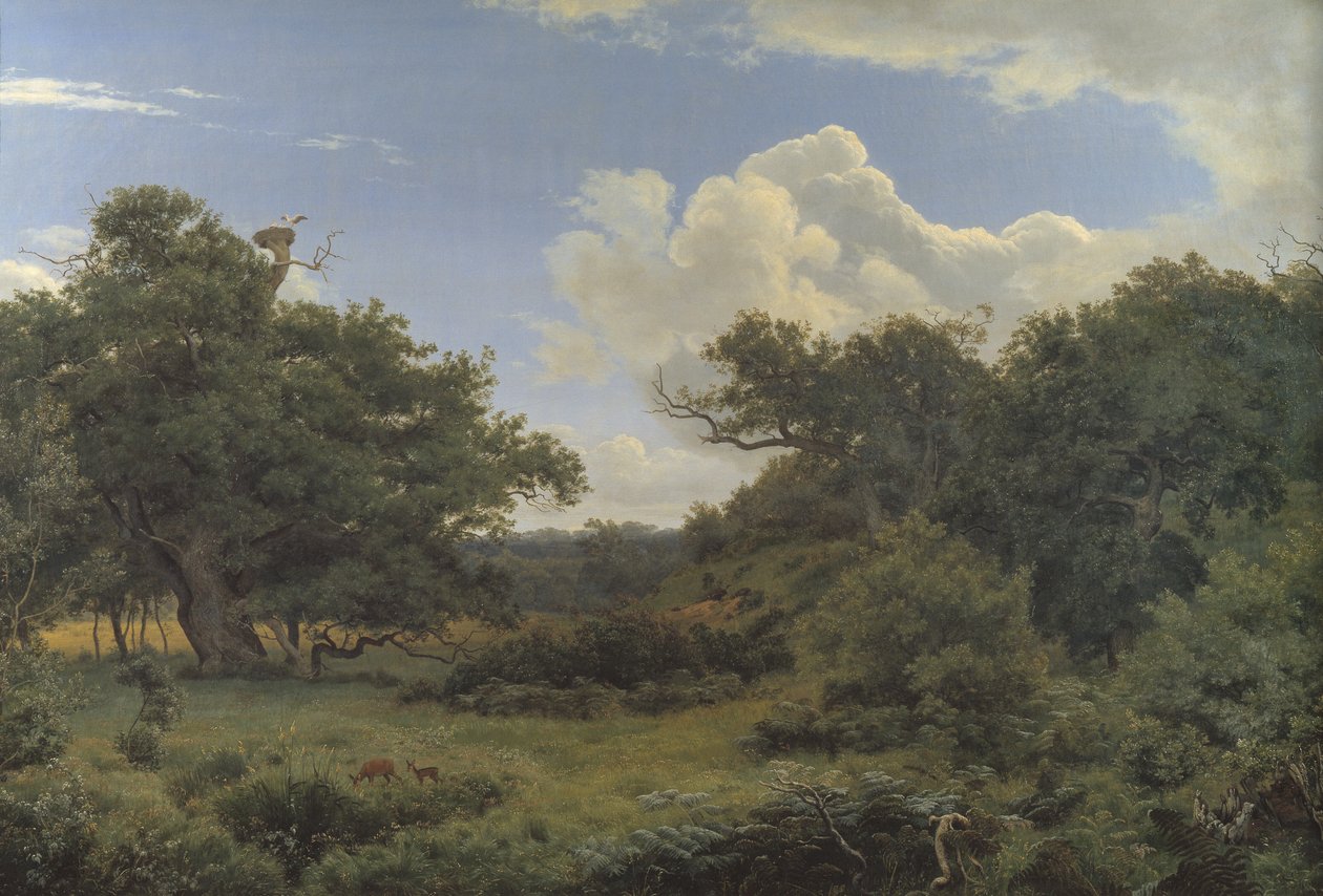 Duby v Nordskoven poblíž Jægerspris, Zéland od P.C. Skovgaard