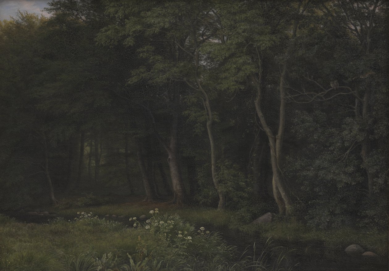 Soumrak nastavení v lese poblíž Iselingen Manor, Zéland od P.C. Skovgaard