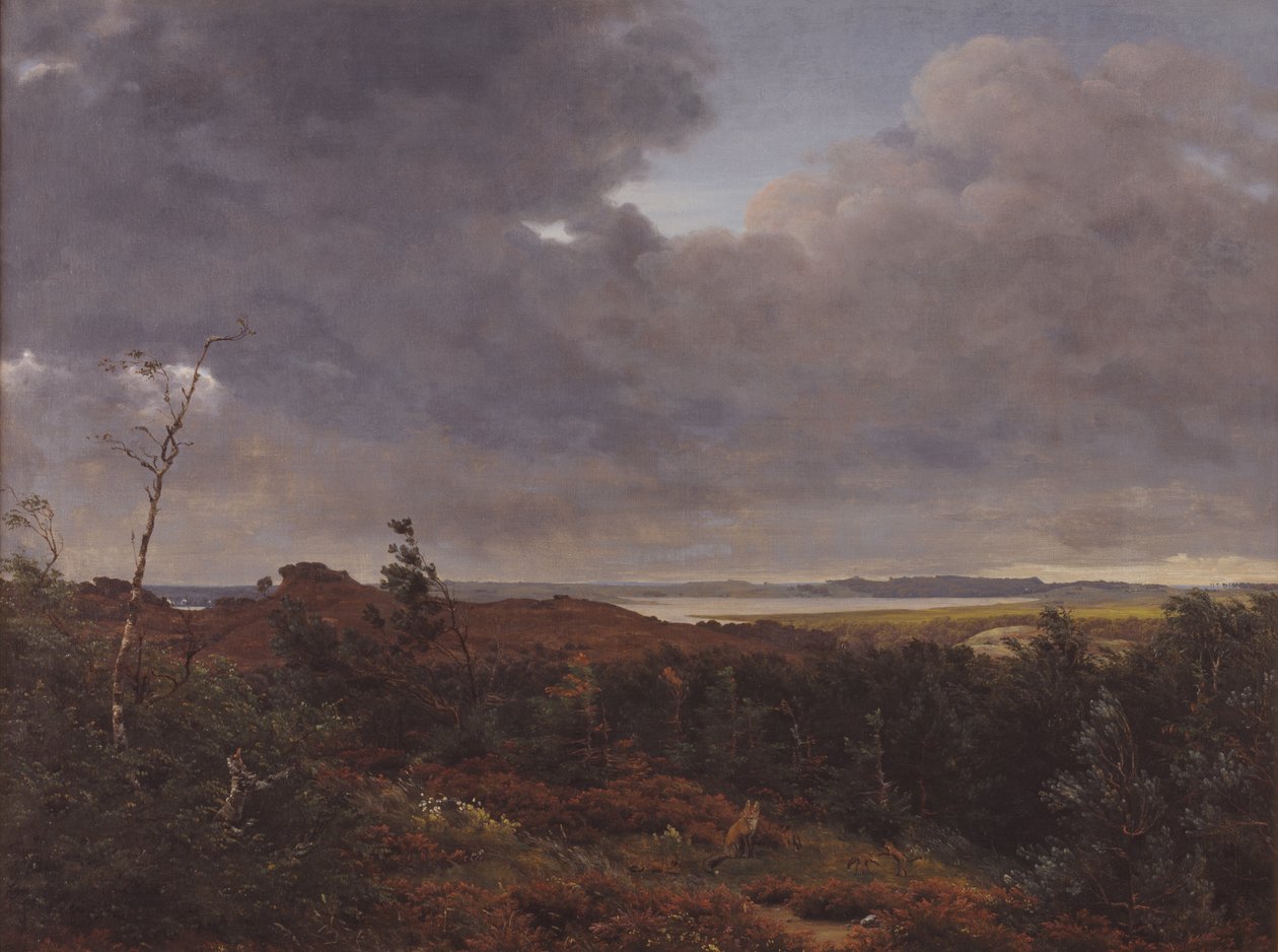 Pohled na Frederiksværk z Tisvilde Wood, Severní Zéland od P.C. Skovgaard
