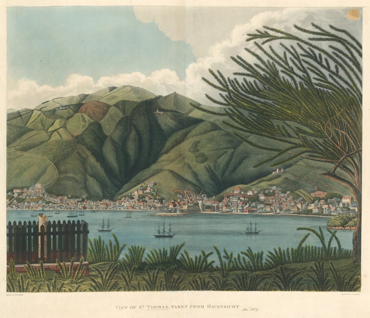 View of St. Thomas, taken from Havensicht, Jan. 18, lithograph by Joseph Constantine Stadler (fl.1780-1812)   1353861   cs       czech Successfully Translated  Original: Study of figure Translat: Study of figure 1258695 cs czech Successfully Translated Ori od P. M. (after) Vieillot