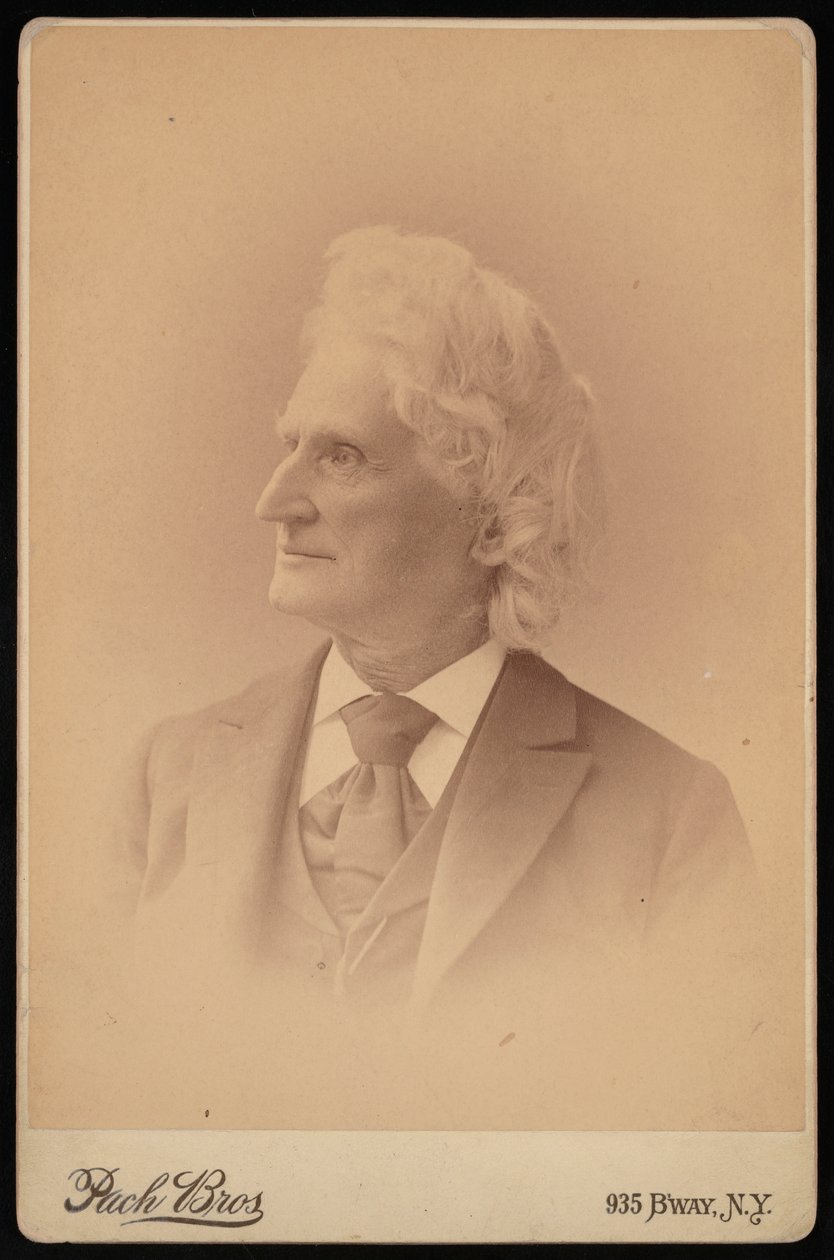 Portrét Jamese Dwighta Dana 1813-1895, únor 1895. od Pach Bros
