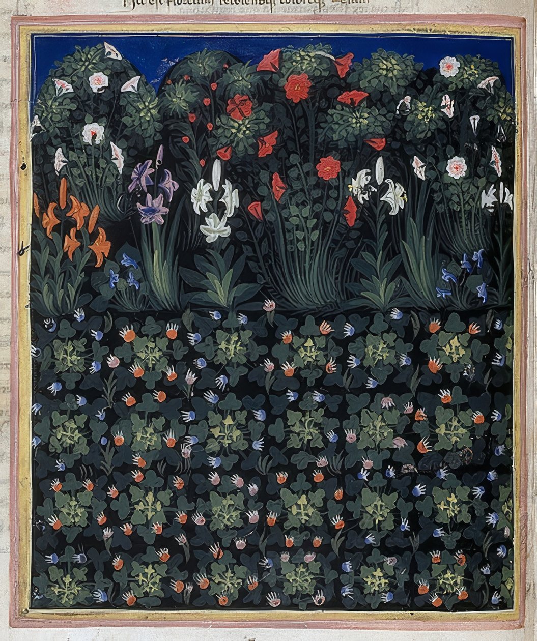 Zahrada (z: Regia Carmina od Convenevole da Prato). Kolem roku 1335 od Pacino di Bonaguida