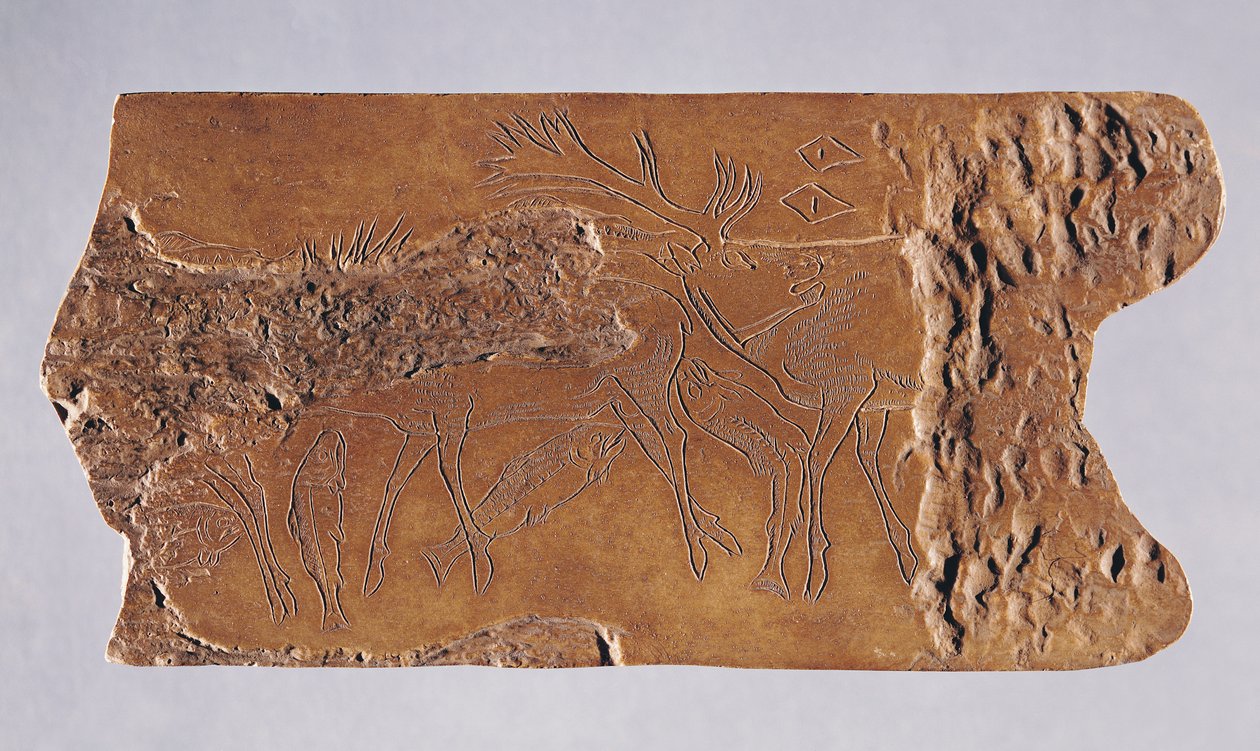 Sobí roh vyřezaný s jelenem a skákajícím lososem, z jeskyně Grotte de Lortet, Magdalénien, 15000-18000 př.nl (roh) od Paleolithic