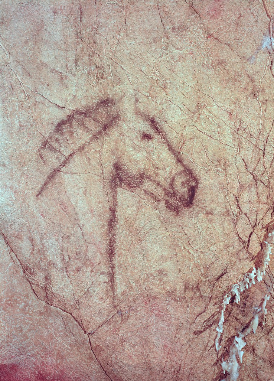 Hlava koně, z Cueva de la Pena de Candamo San Roman (jeskynní malba) od Paleolithic