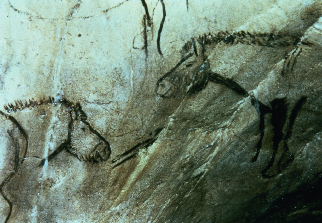 Koně, skalní malby v Černém pokoji, magdalénština (jeskynní malba) od Paleolithic Paleolithic
