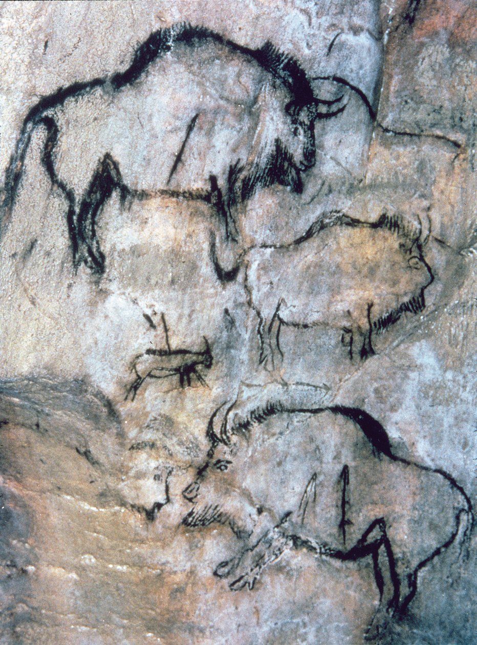 Zraněný bizon, magdalénien (jeskynní malba) od Paleolithic Paleolithic