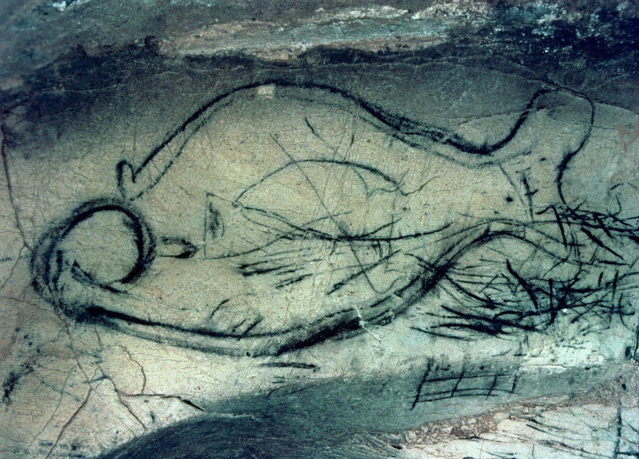 Mořská postava, období paleolitu (asi 40 000-12 000 př. n. l.) (foto) od Paleolithic Paleolithic