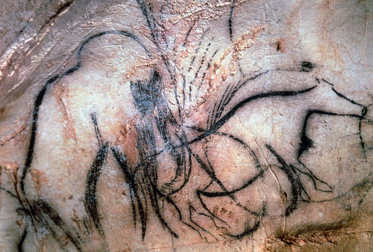 Obrazy zobrazující mamuta a dobytek, z kaple mamutů (jeskynní malba) od Paleolithic Paleolithic