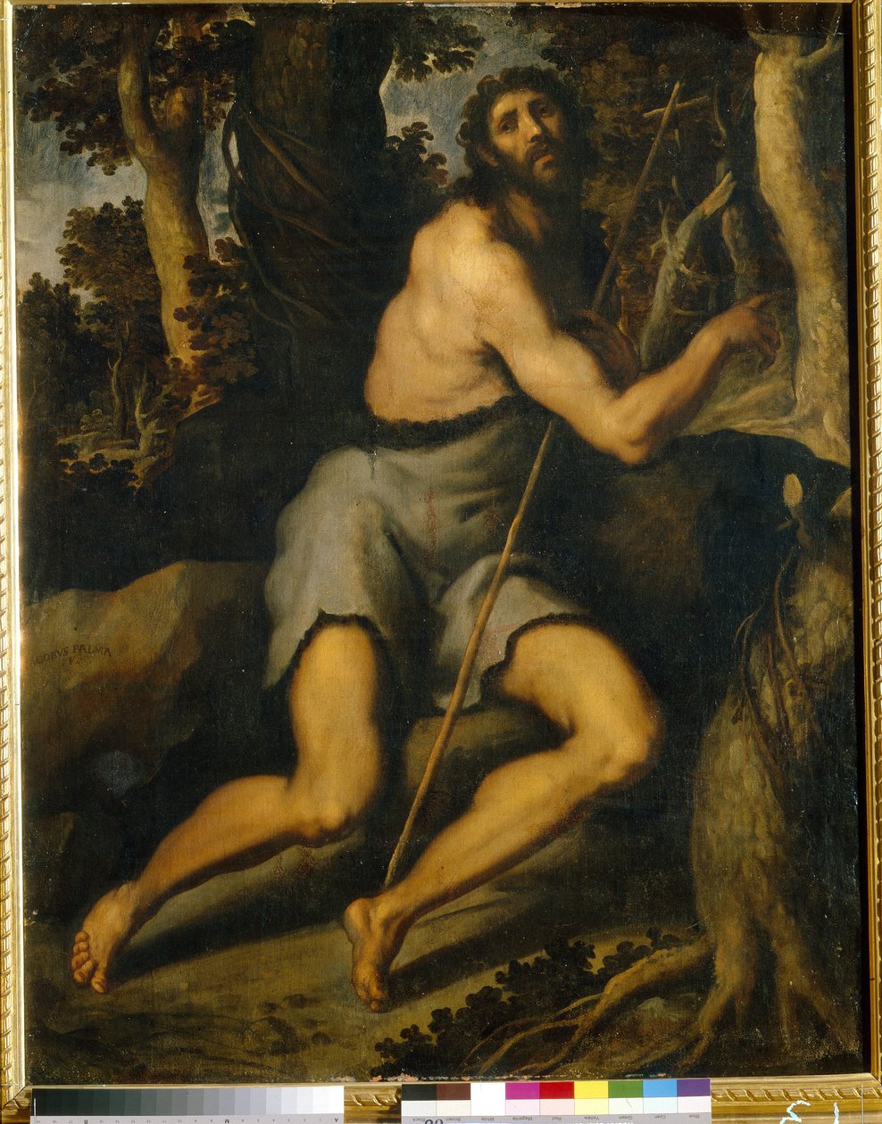 Svatý Jan Křtitel na poušti. Jacopo Palma il Giovane, mladší (1544-1628), olej na plátně, 16.-17. Italské umění (Benátky), manýrismus. Muzeum západního a orientálního umění, Kyjev (Ukrajina). od Palma Il  Giovane