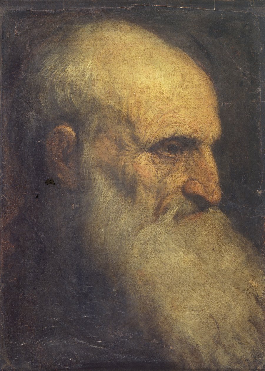 Hlava muže (vpředu), cca 1588-90 (olej na plátně) od Palma Il Giovane