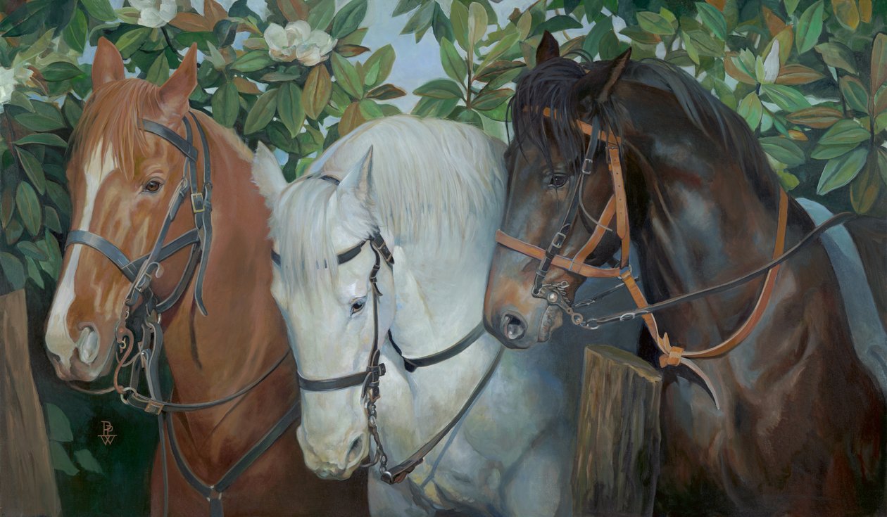 Zachráněná, 2014 (olej na plátně) od Pamela Patrick White