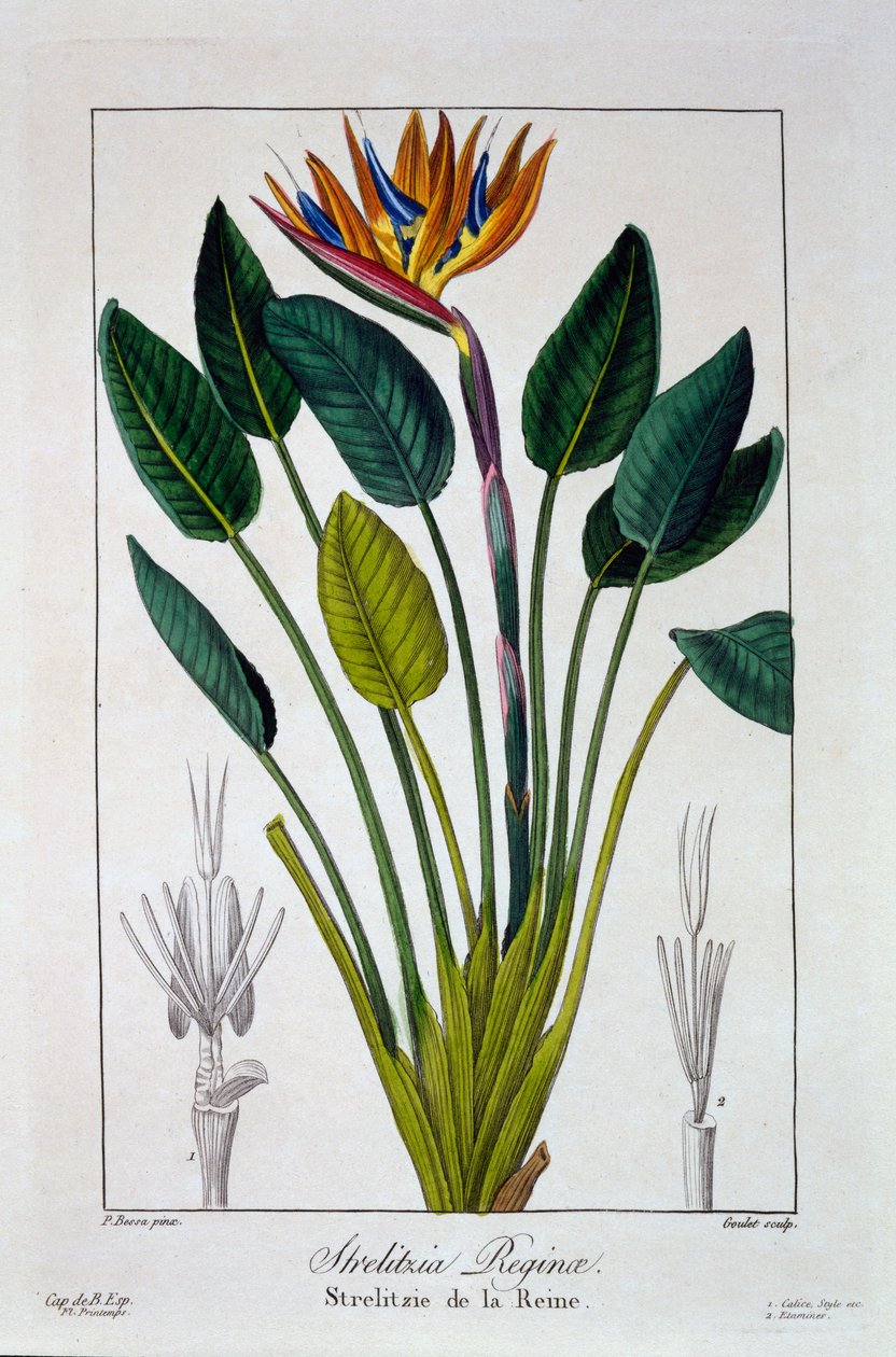 Rájka aneb Květ jeřábu, hospoda. 1836. od Panacre Bessa