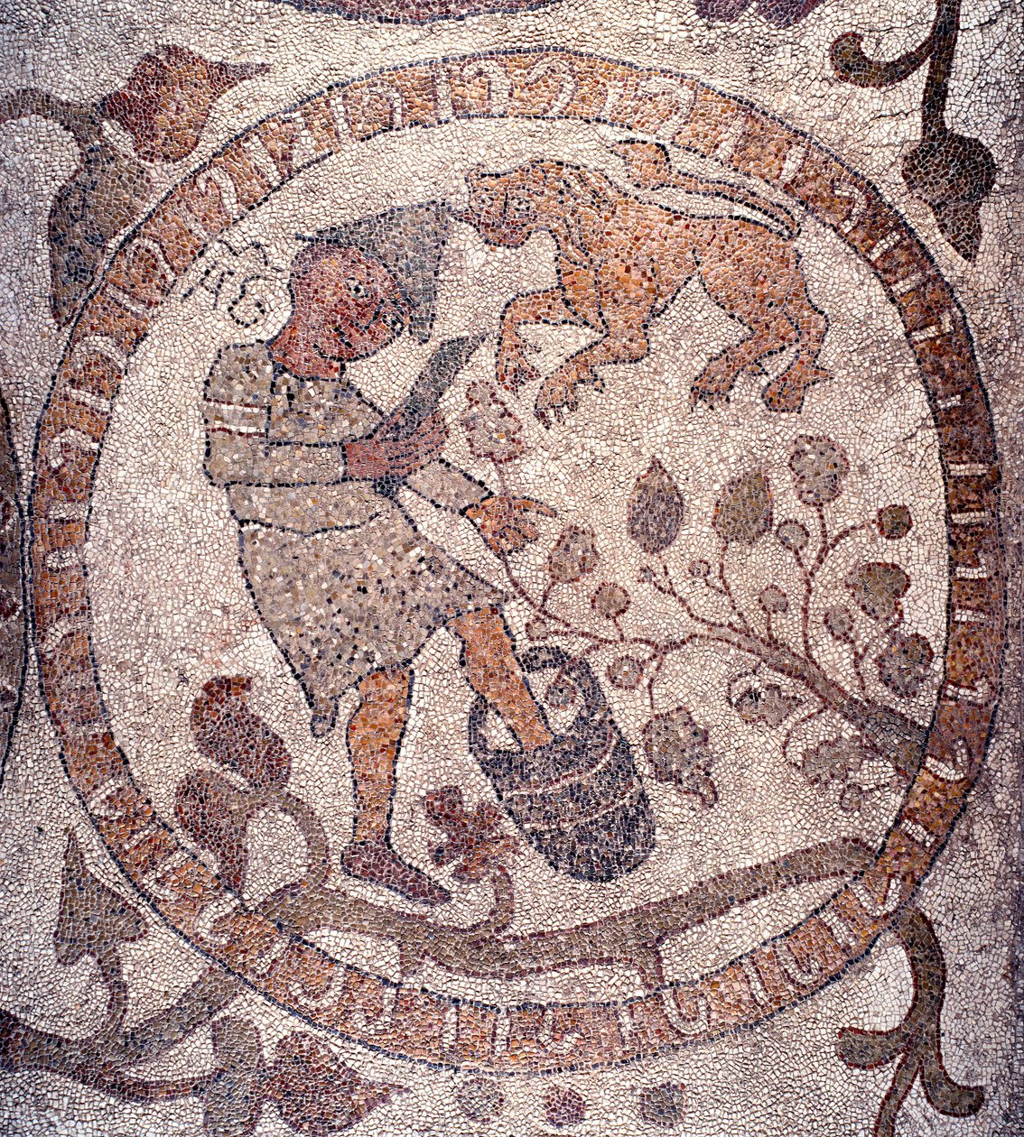 Srpen: rolník ve frygické čepici sbírá hrozny a drtí je v kbelíku. Znamení lva je reprezentativní. Mozaika Pantaleone, kněz a mozaika. 1163-1166. Centrální loď Cathedrale of Otranto (Otranto), Itálie od Pantaleon Pantaleon