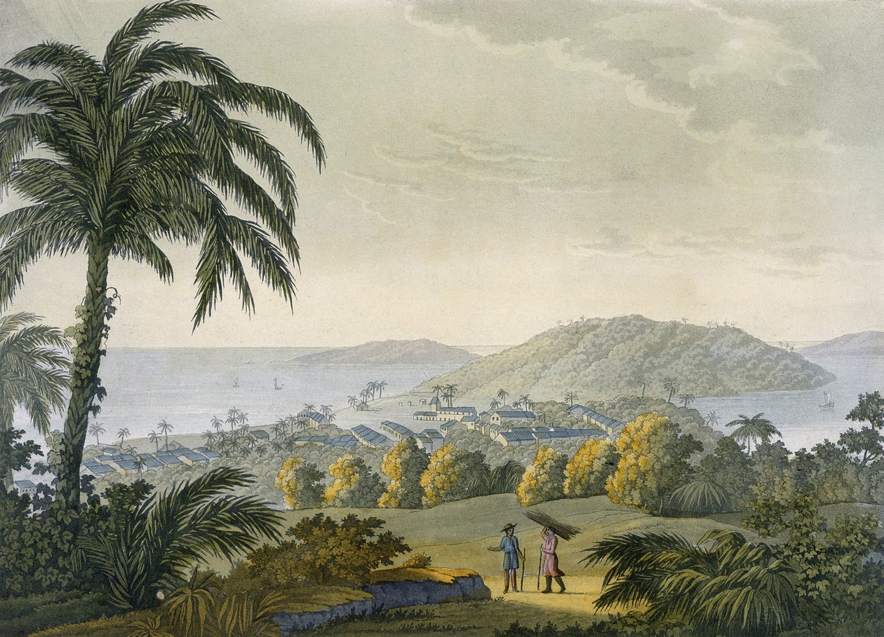 Ilheus (barevná rytina) od Paolo Fumagalli