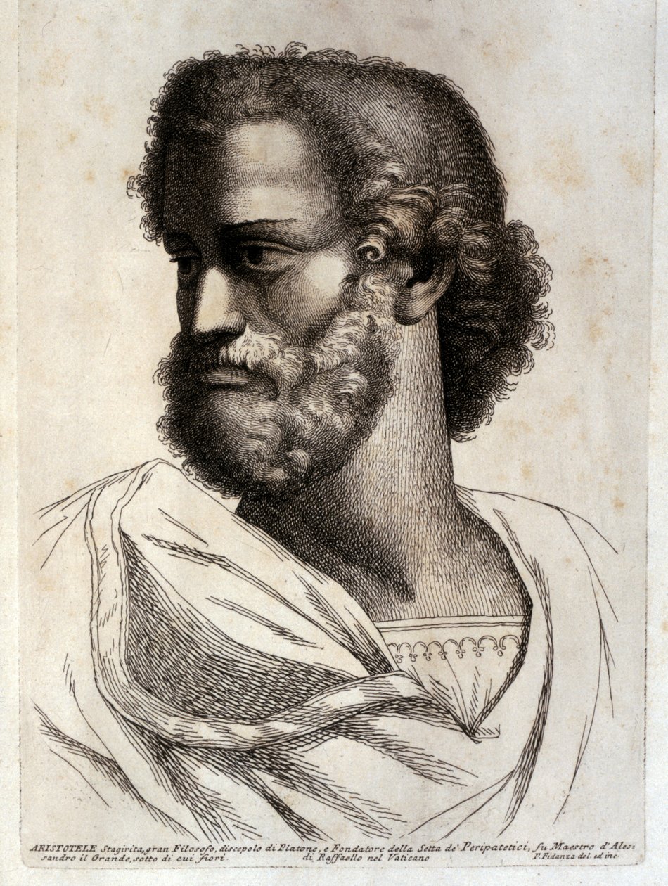 ARISTOTLE od Paolo Fidanza