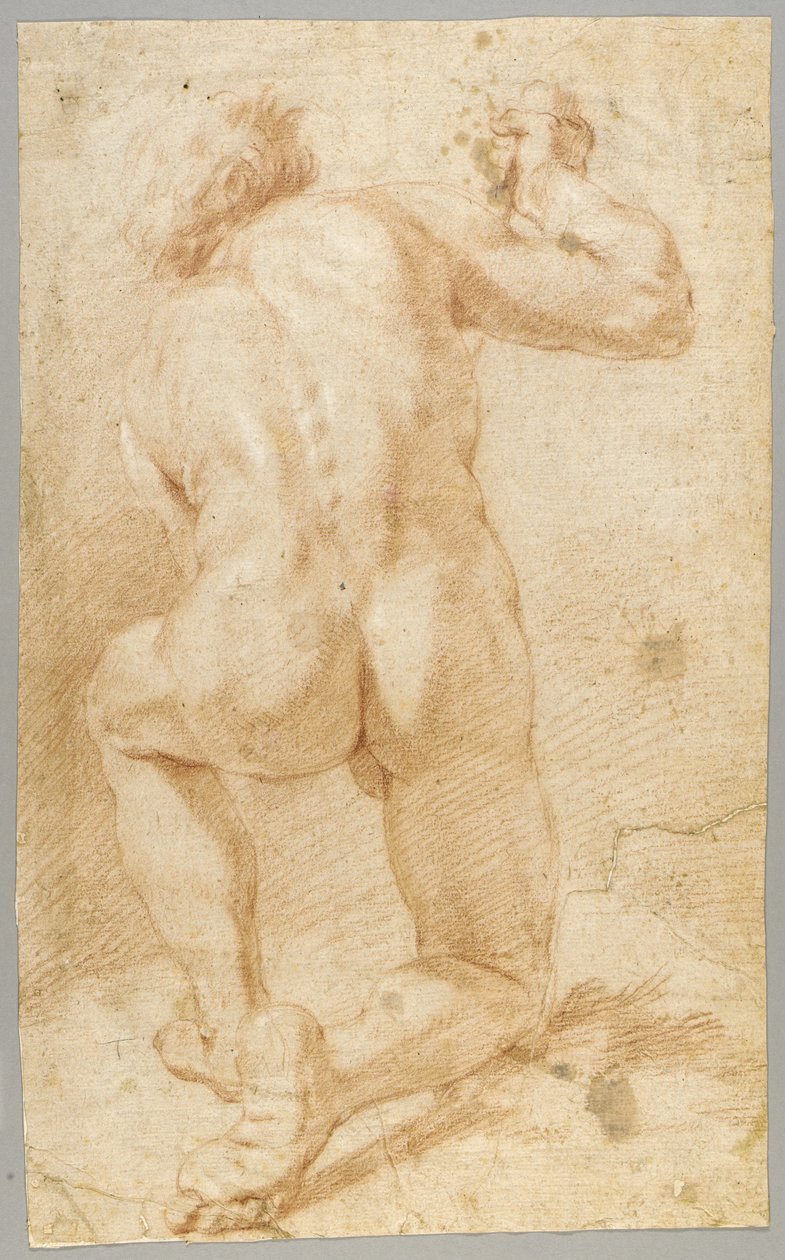 Kreslení od Paolo de Matteis