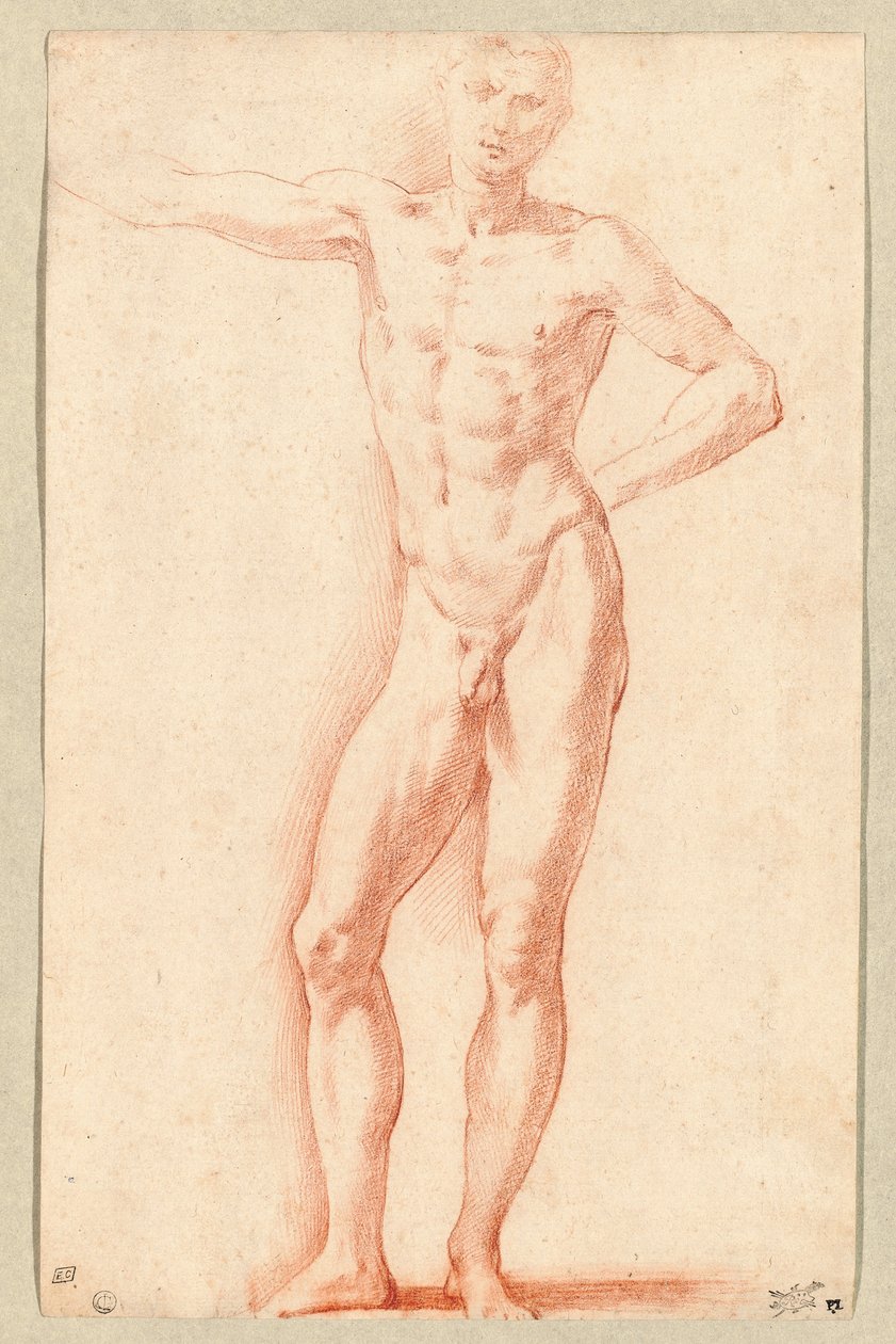Mužský akt (červená křída) od Parmigianino (1503-40)