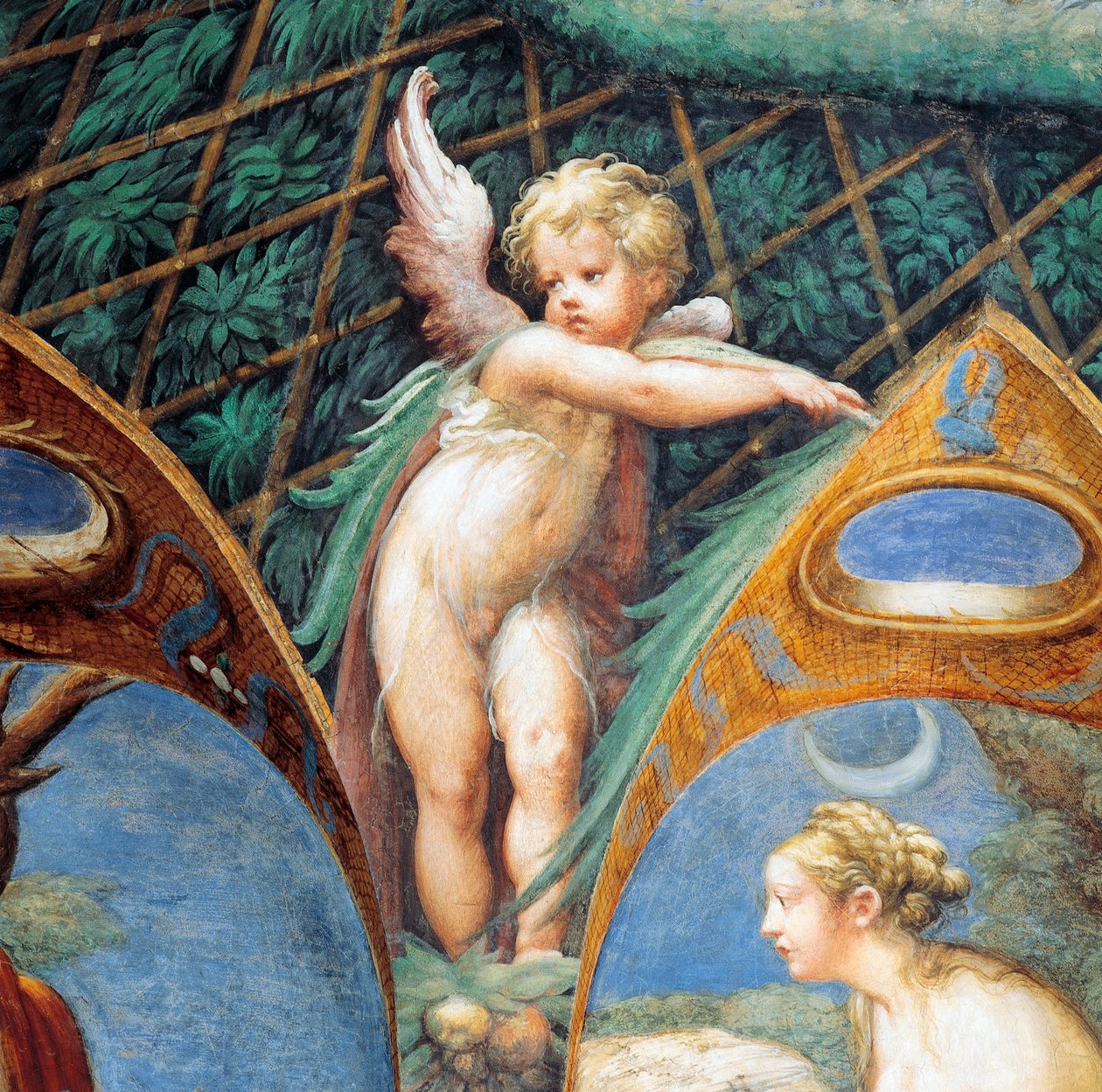 Cherubín a Dianin obličej, z mýtu o Dianě a Actaeonu, circa od Parmigianino