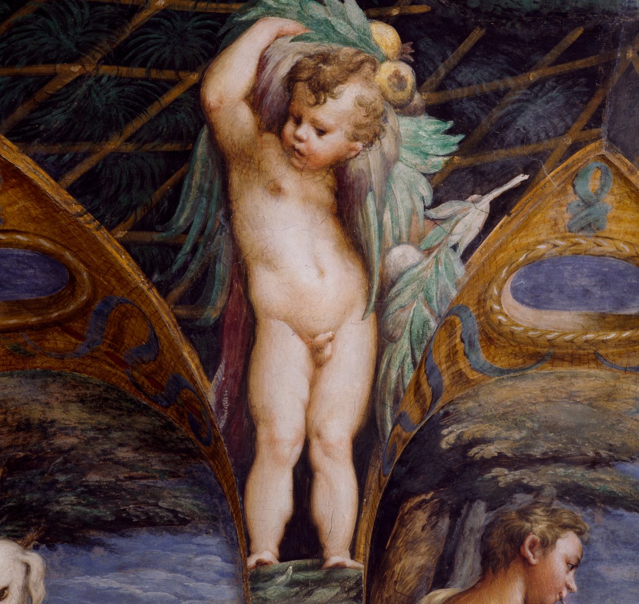 Cherubín, detail z mýtu o Dianě a Actaeonu, circa od Parmigianino