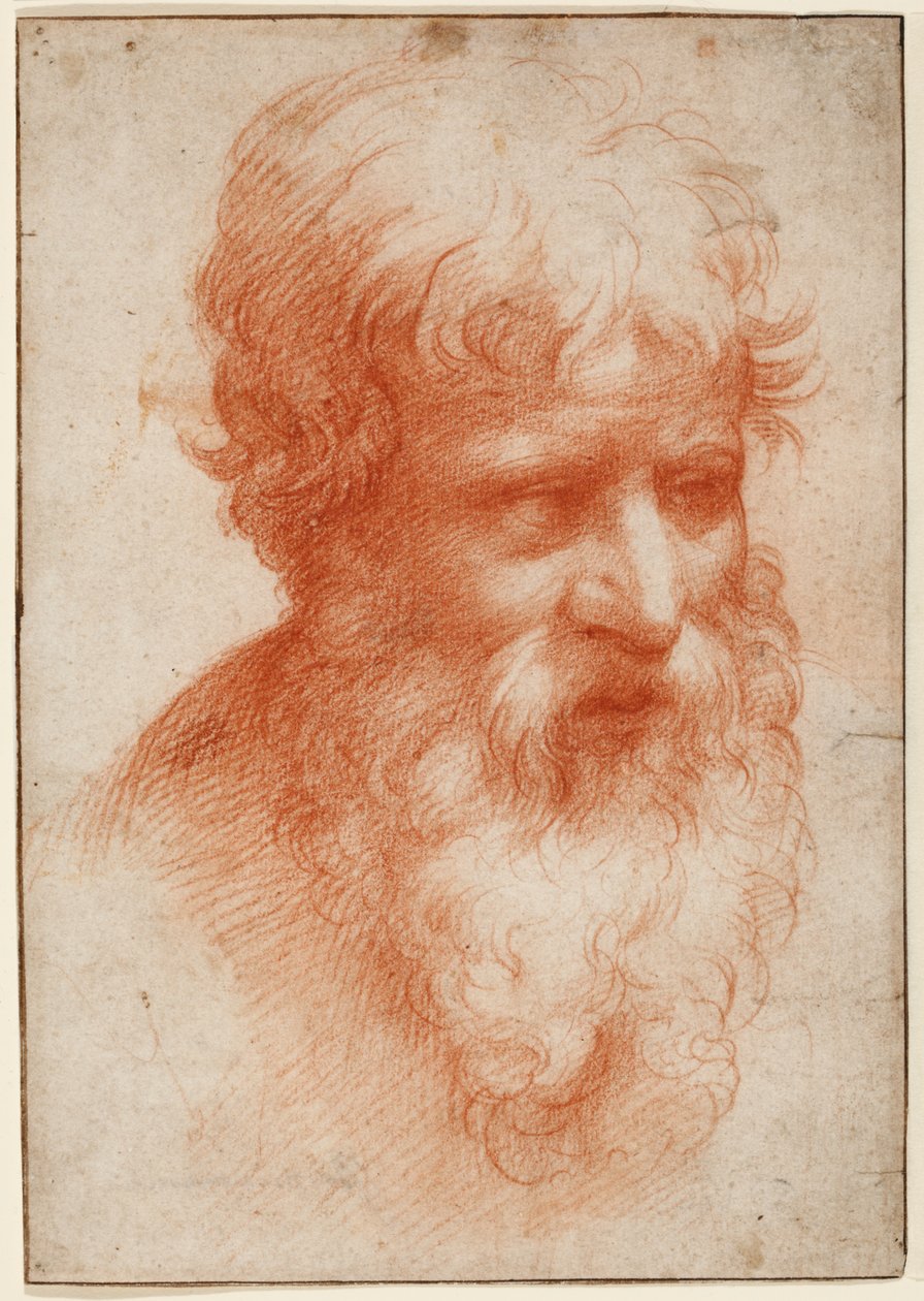 Hlava vousatého muže, dívá se vpravo, kolem 1523-25 (červená křída na papíře) od Parmigianino (1503 40)