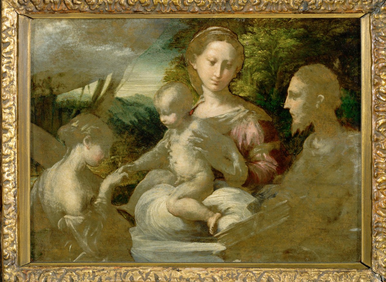 Madona a svatí ... od Parmigianino (1503 40)
