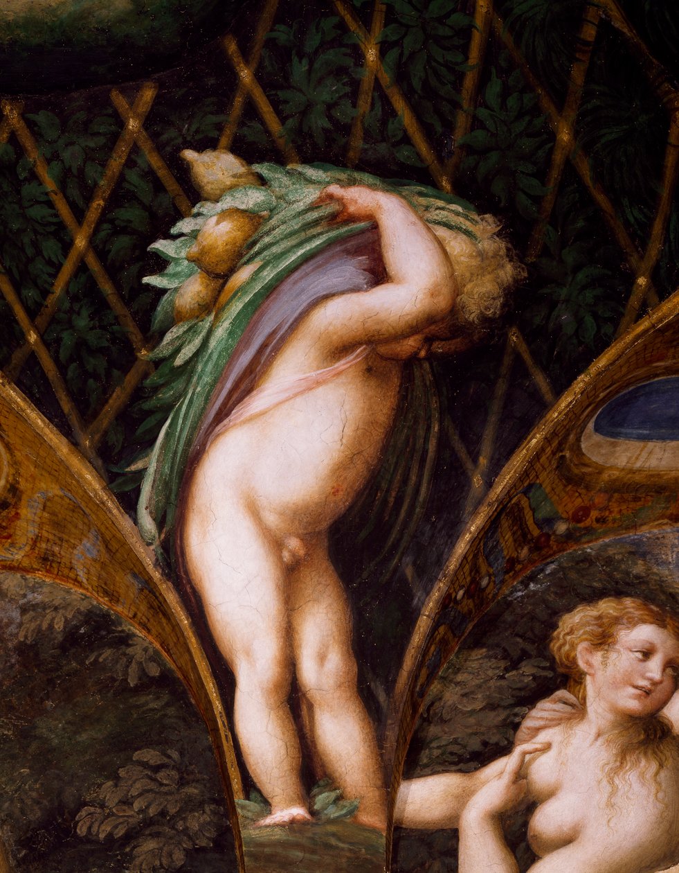 Putto, z Mýtu o Dianě a Aktaeonovi od Parmigianino