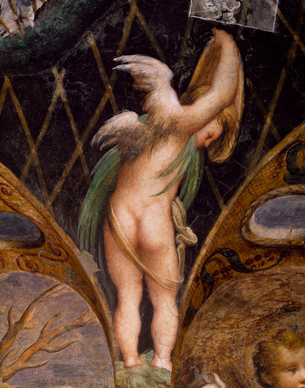 Putto, z Mýtu o Dianě a Actaeonu od Parmigianino