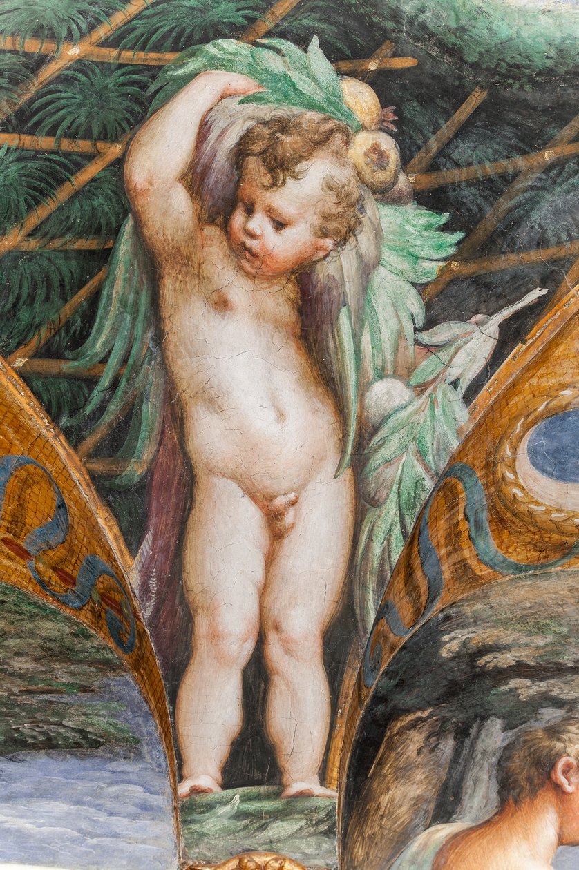 Putto, z pokoje Diany a Actaeona, detail 2384753 od Parmigianino