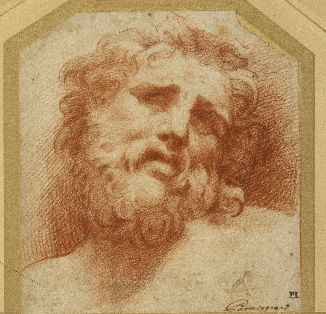 Vousatá hlava, dívá se nahoru (možná Laocoon) (červená křída na bílém papíře) od Parmigianino