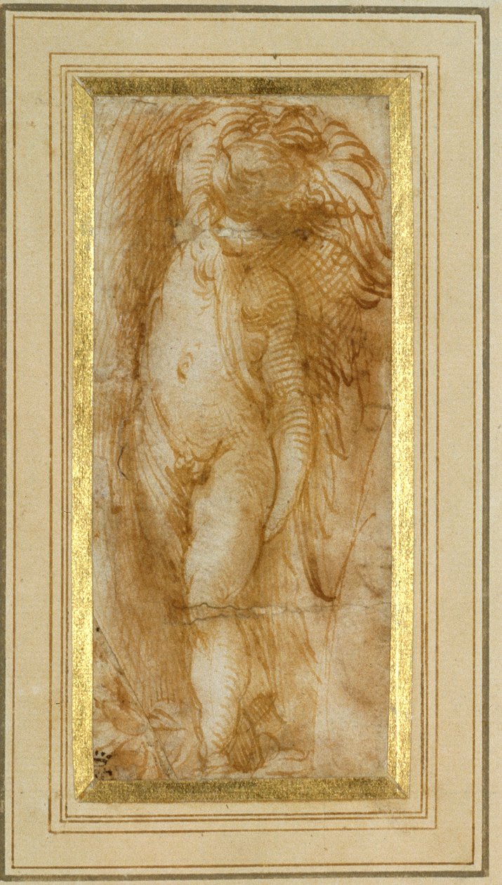Putto otočené doleva (pero a hnědý inkoust na papíře) od Parmigianino