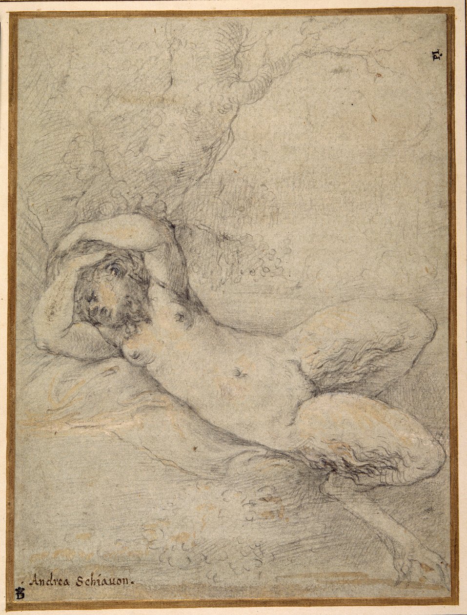 Satyreska spící pod stromem (černá křída s zvýrazněním v bílé barvě těla na carta azzurra) od Parmigianino