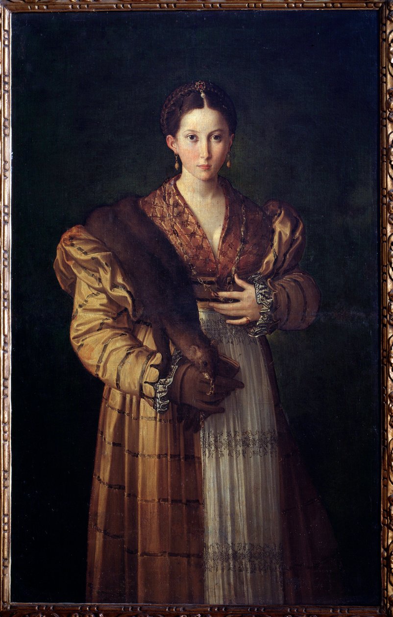 Antea Představení manželky Sthenebee krále Proeta, zamiluje se do Bellerophona (Portrét Stheneboea nebo Stheneboia, choť Protea) - Obraz Girolamo Francesco Maria Mazzola dit Parmigianino neboli Parmezán (1503-1540) 153530-153530 od Parmigianino