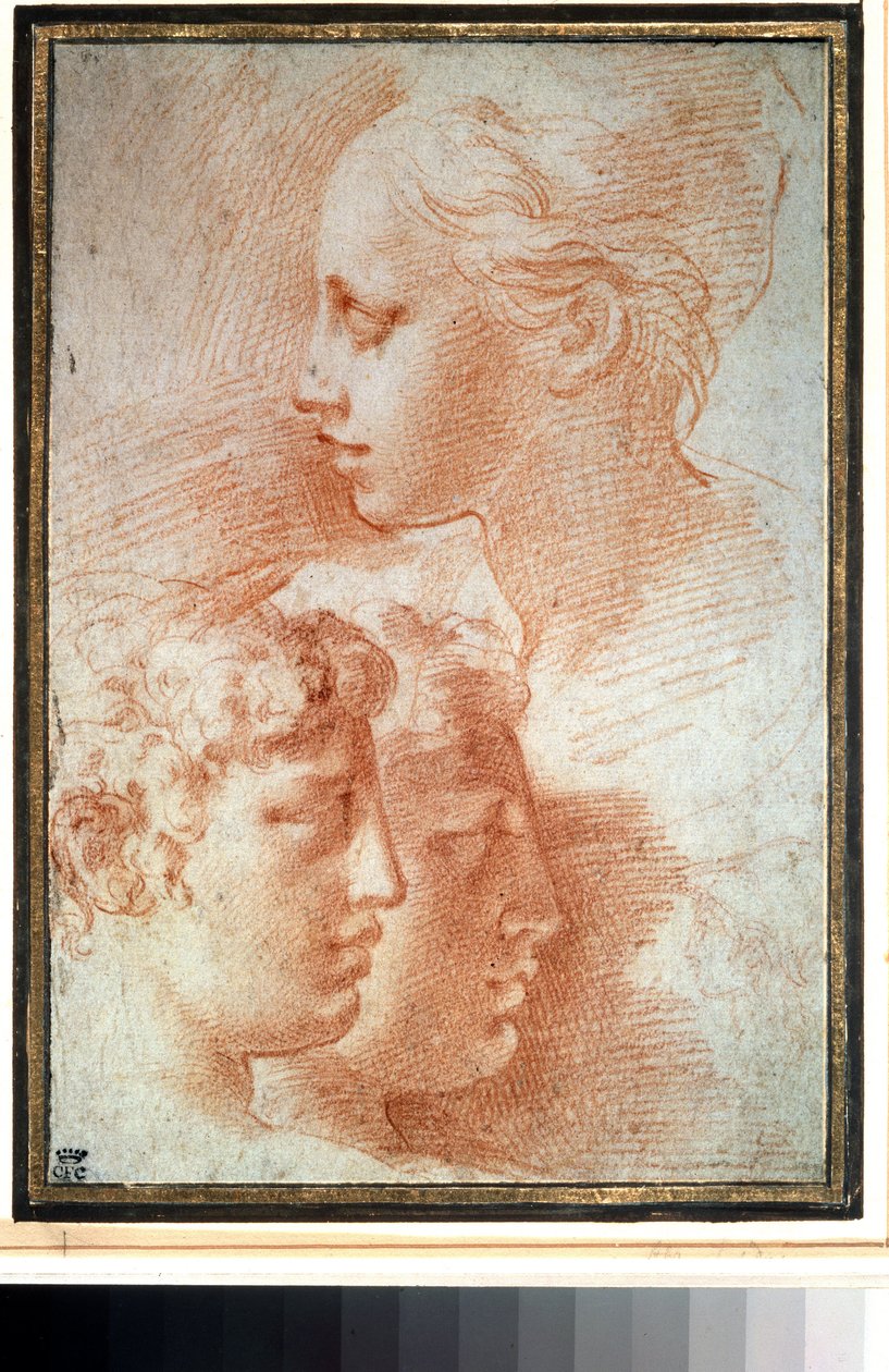 "Etude de tetes" (Studie hlav). Mladá dívka a chlapci obličejový profil. Kresba Girolamo Francesco Maria Mazzola nebo Mazzuoli dit il Parmigianino (Parmezán od Parmigianino