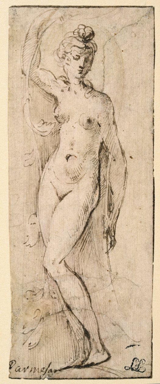 Ženská postava - studie pro Santa Maria della Steccata, Parma (recto) od Parmigianino