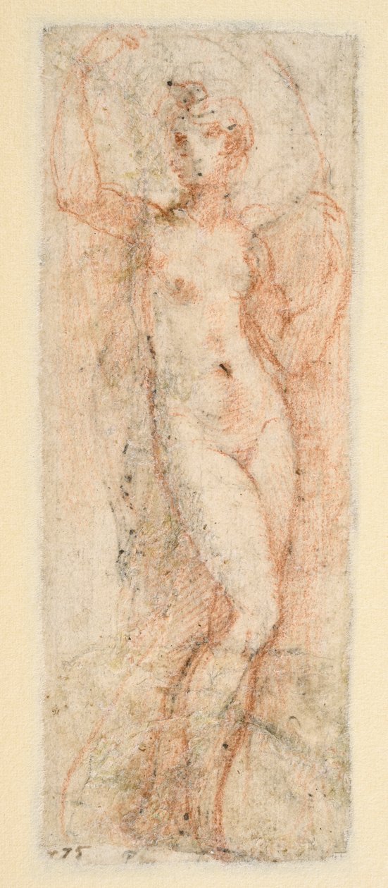Ženská postava - studie pro Steccatu (verso) od Parmigianino