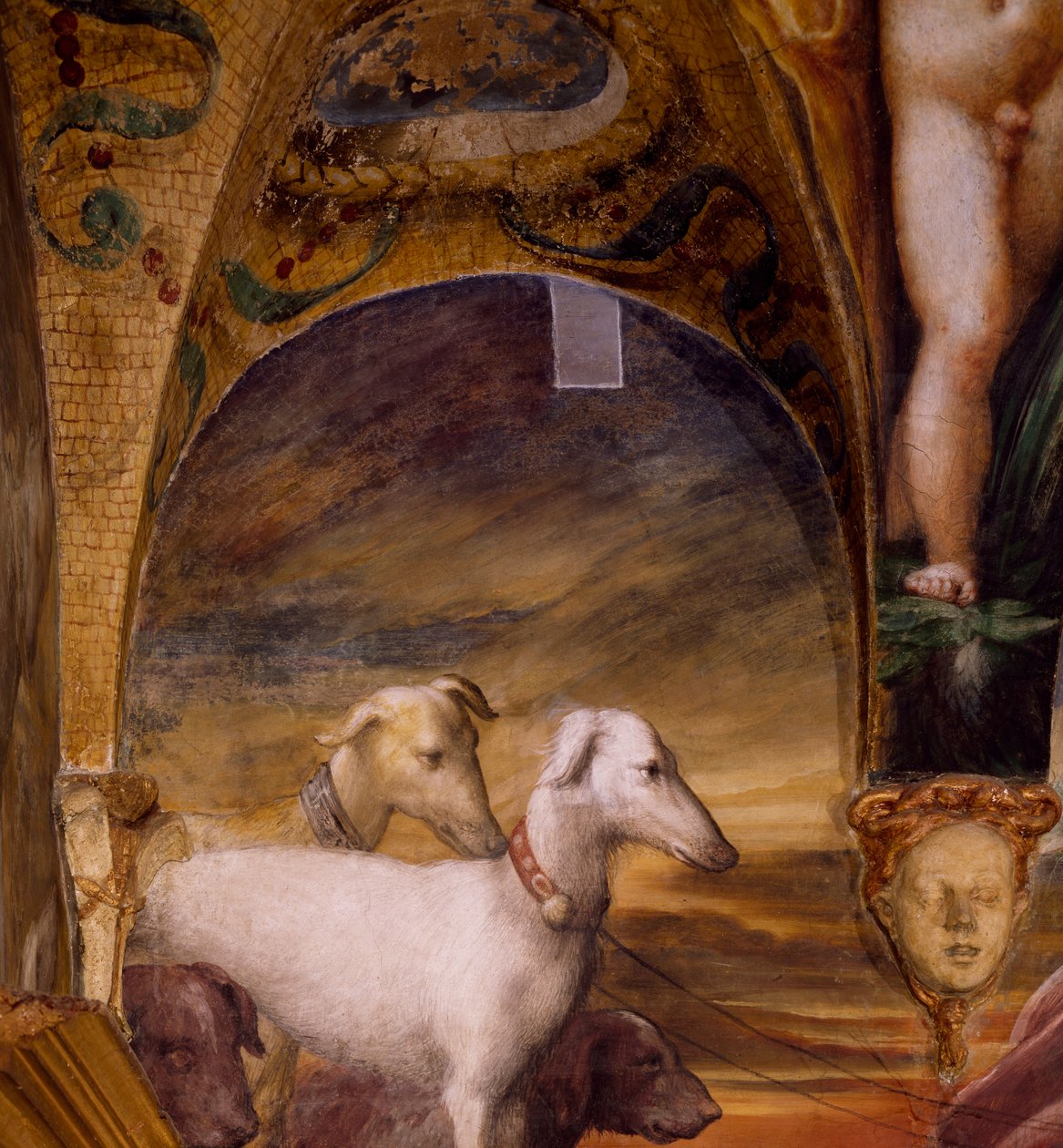 Skupina psů z mýtu o Dianě a Actaeonu od Parmigianino