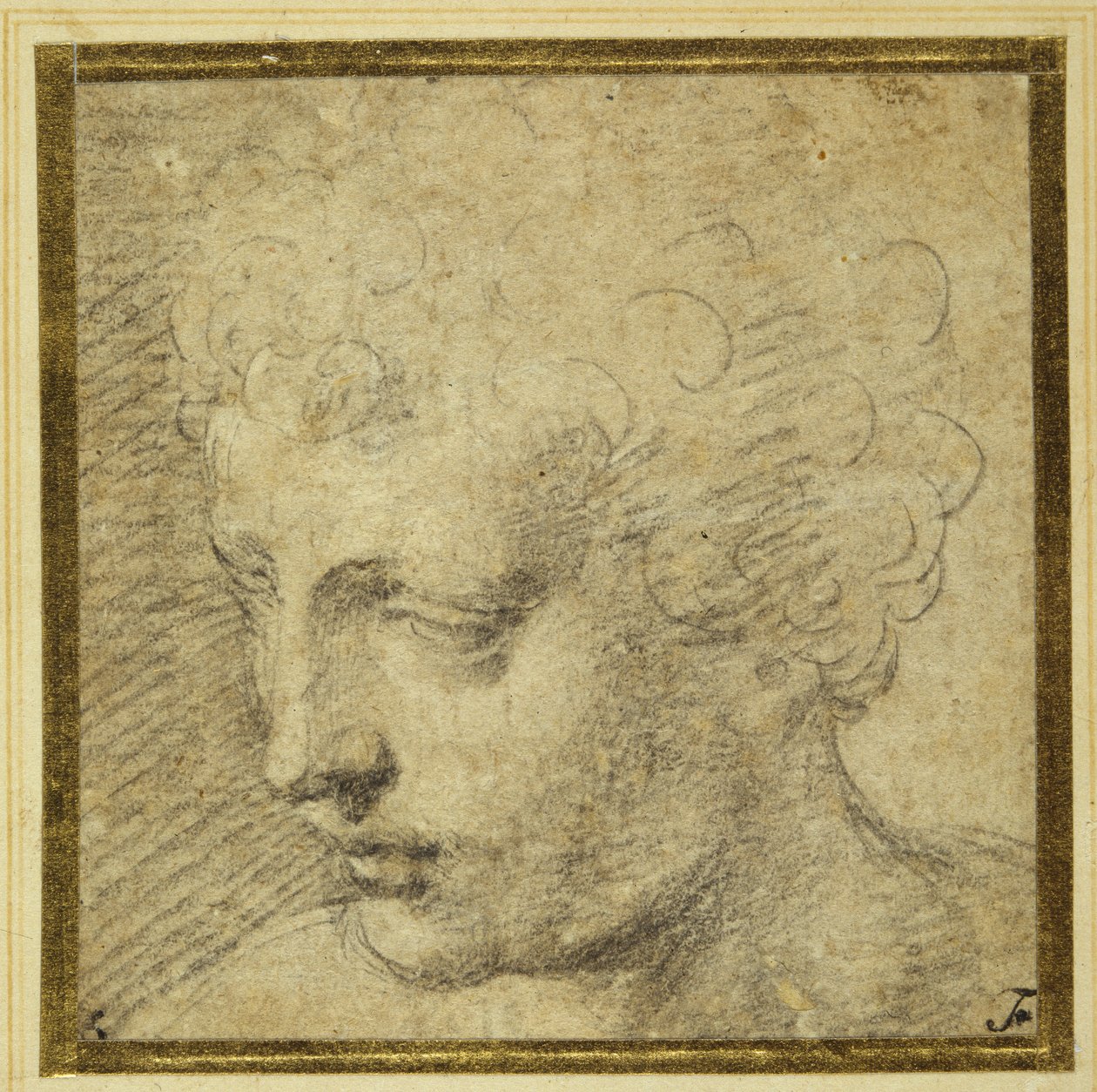 Hlava chlapce, téměř z profilu vlevo (černá křída na tónovaném papíře) od Parmigianino