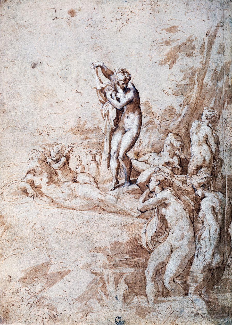 Koupání nymf (pero a zředěný inkoust, olovo) od Parmigianino