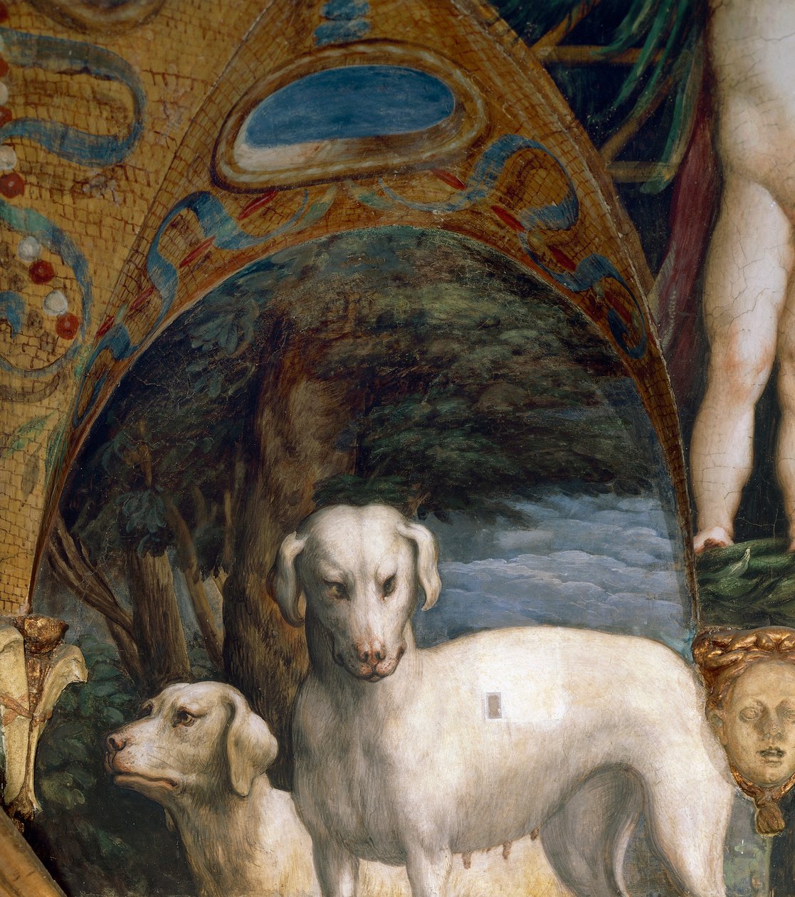 Pár psů, detail z mýtu o Dianě a Actaeonu, od Francesca Mazzoly známého jako Parmigianino (1503-1540), freska, severní strana pokoje Diany a Actaeonu, Rocca Sanvitale, Fontanellato, poblíž Parmy, Itálie, kolem roku 1524 od Parmigianino
