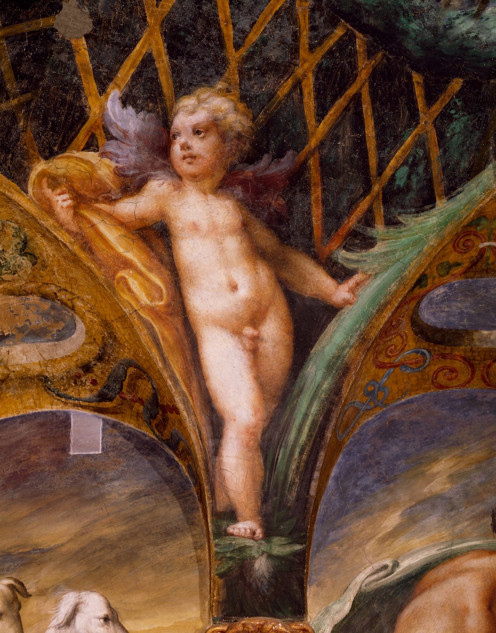 Putto, z Mýtu o Dianě a Actaeonu od Parmigianino