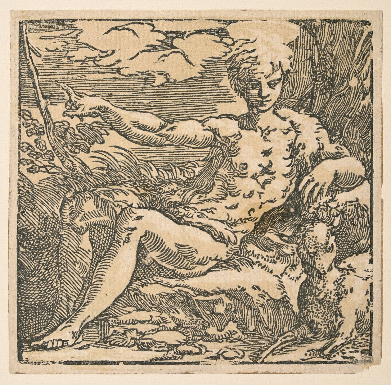 Svatý Jan Křtitel na poušti od Parmigianino