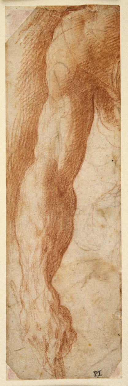Studie mužské pravé paže, jeho ruka drží hůl (červená křída na bílém papíře) od Parmigianino