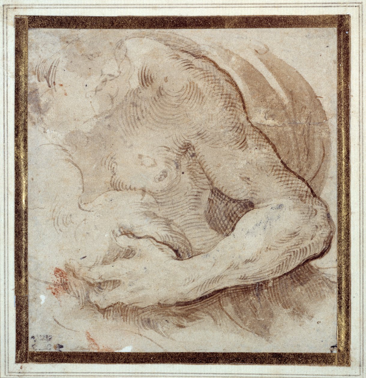 Studie levé paže, hrudníku a hlavy vousatého muže (pero a hnědý inkoust s červenou křídou na krémovém papíře) od Parmigianino