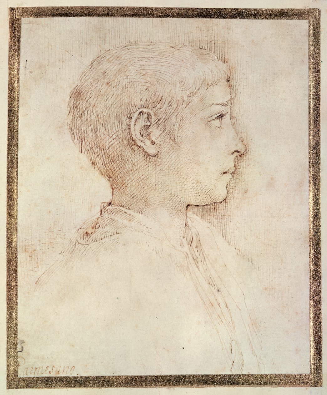 Hlava chlapce od Parmigianino